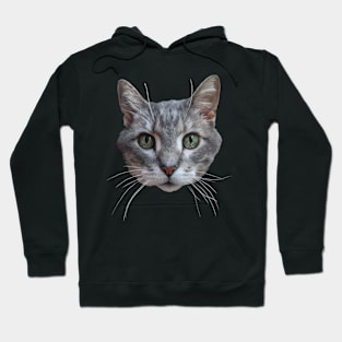 Cat 1 Hoodie